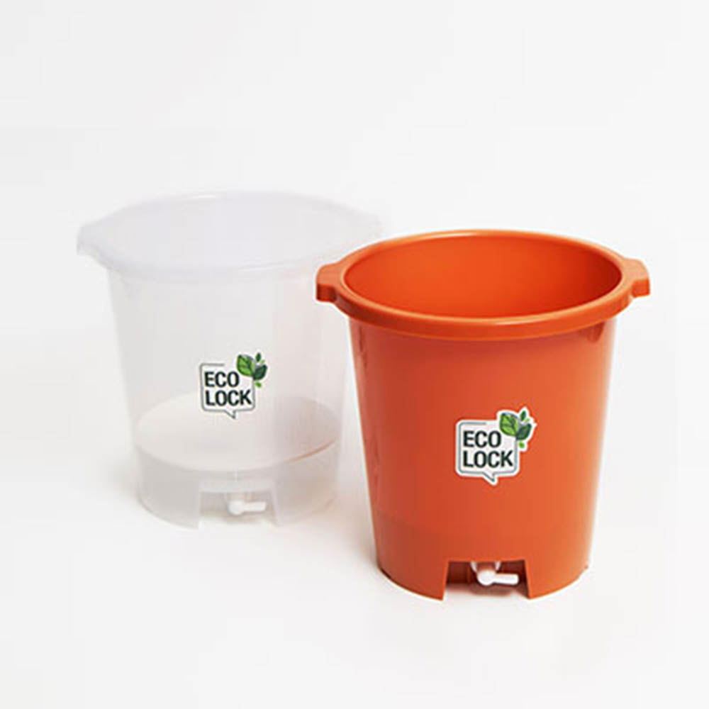 1623119101 thumbnail