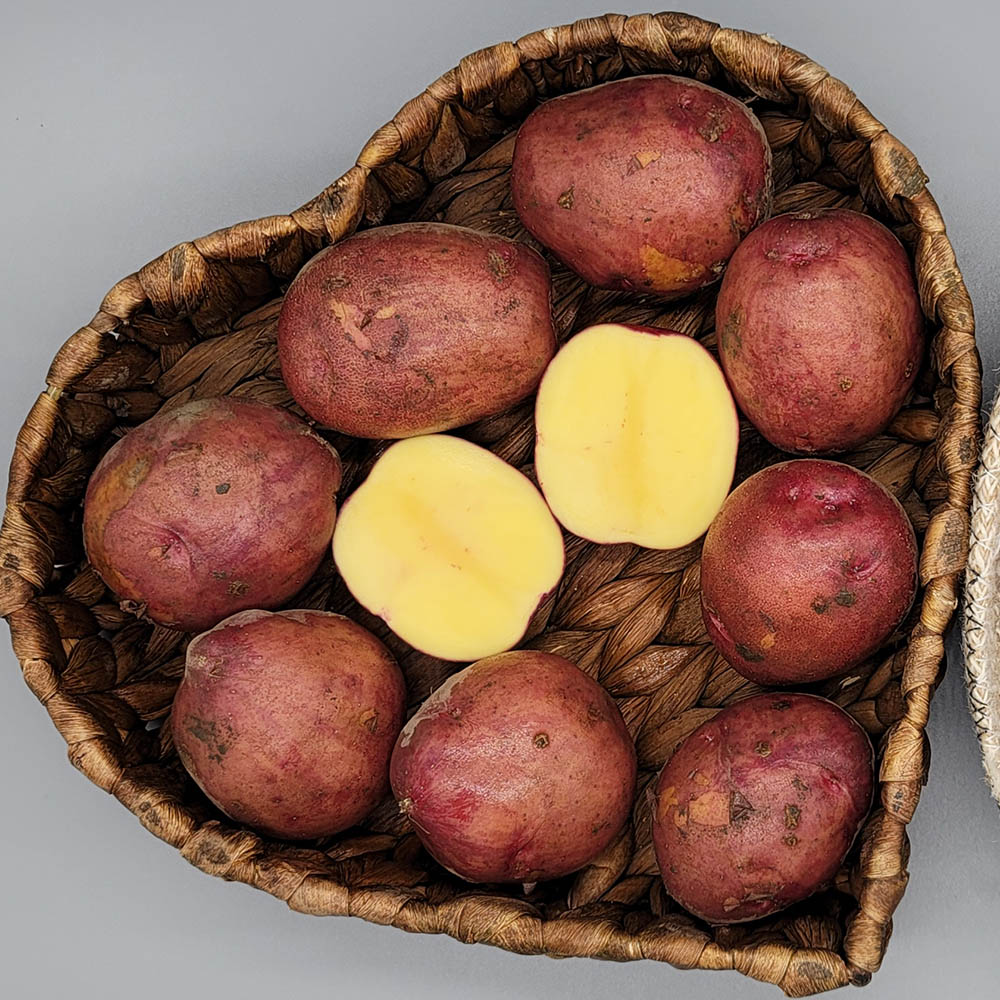 1623119563 thumbnail