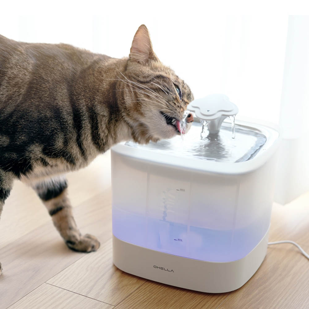 1623821273 thumbnail