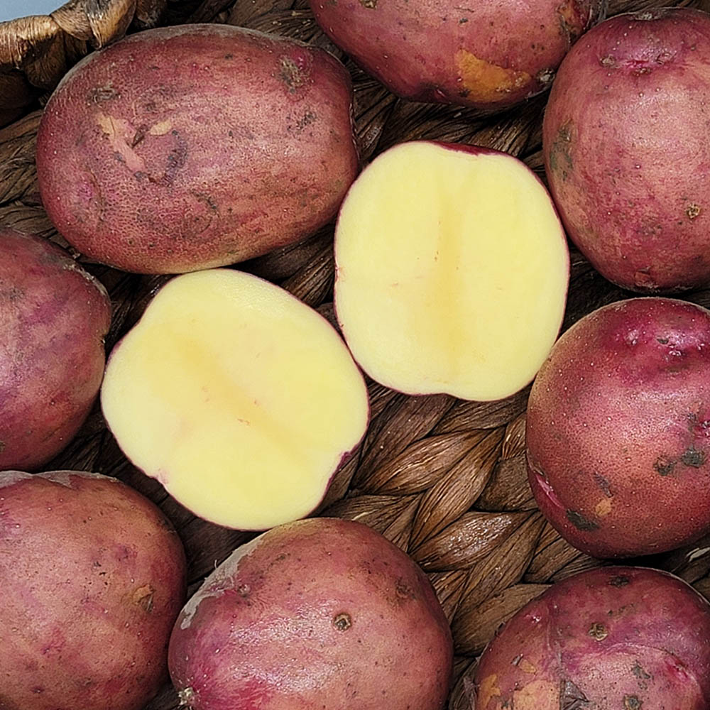 1624350272 thumbnail