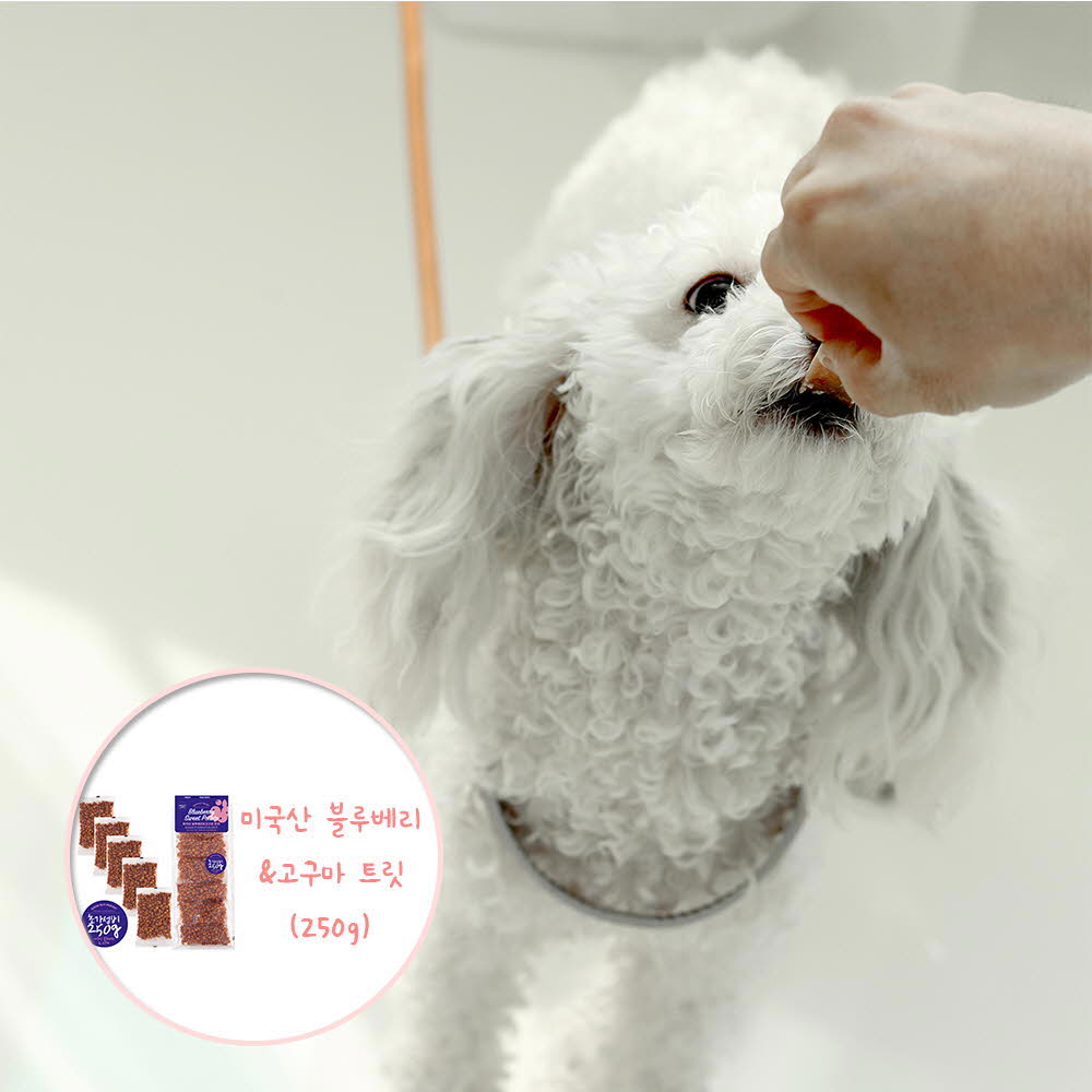 1624607123 thumbnail