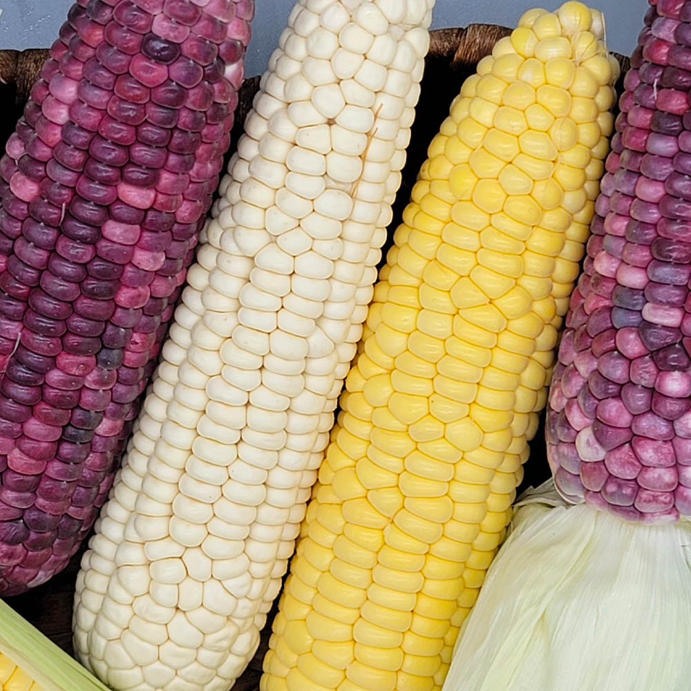 1625551586 thumbnail