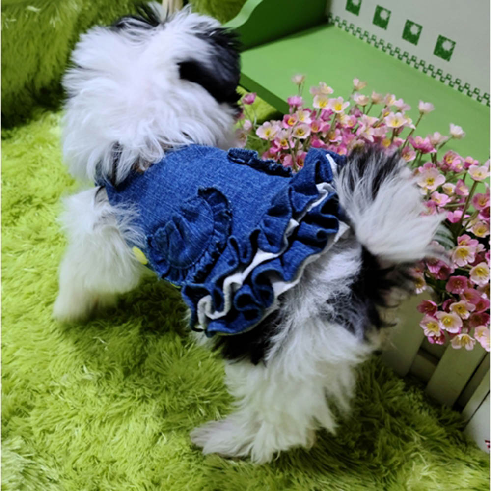 1626421388 thumbnail