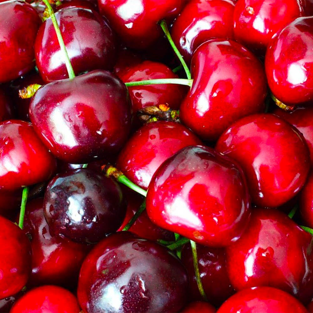 1626857210 thumbnail