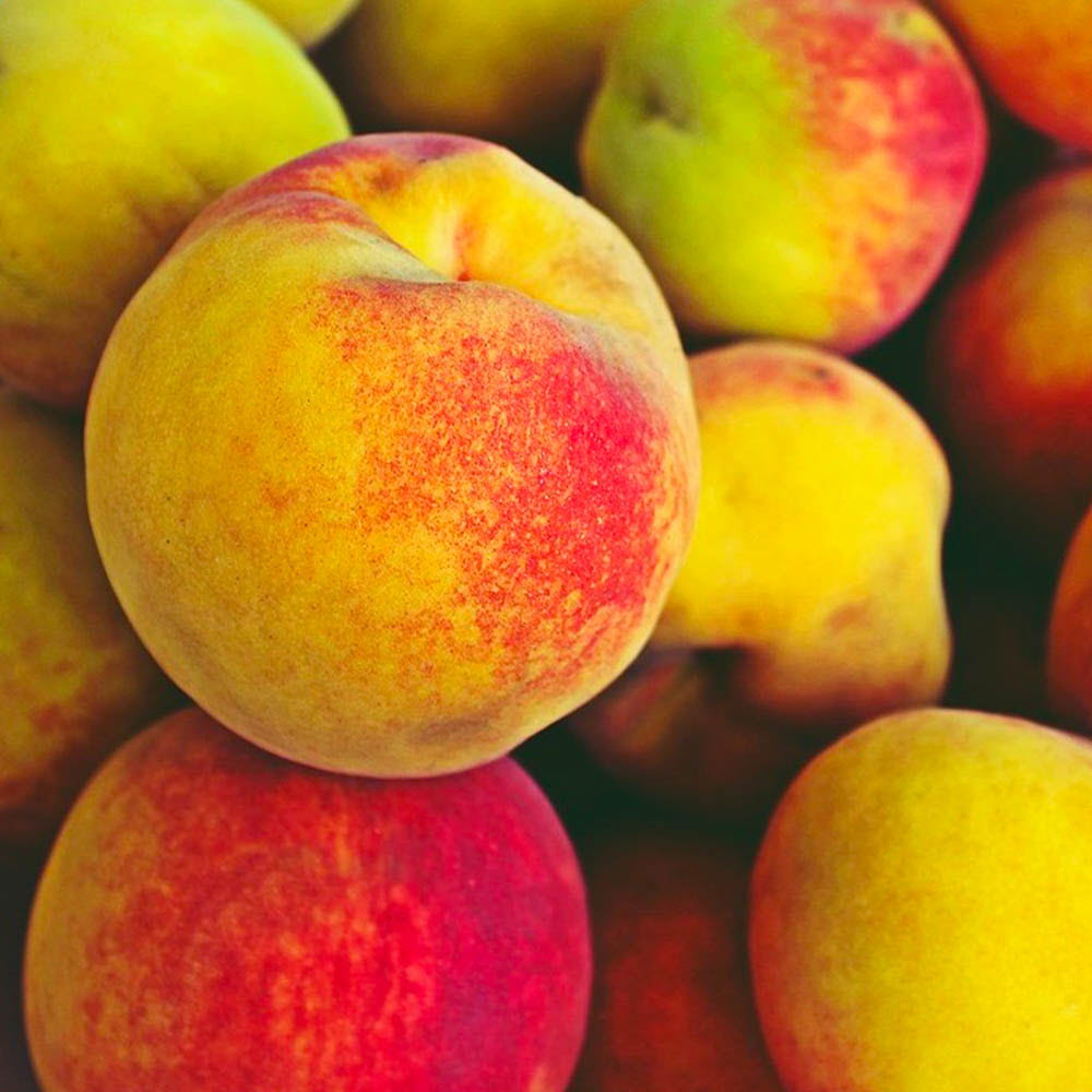 1626857216 thumbnail