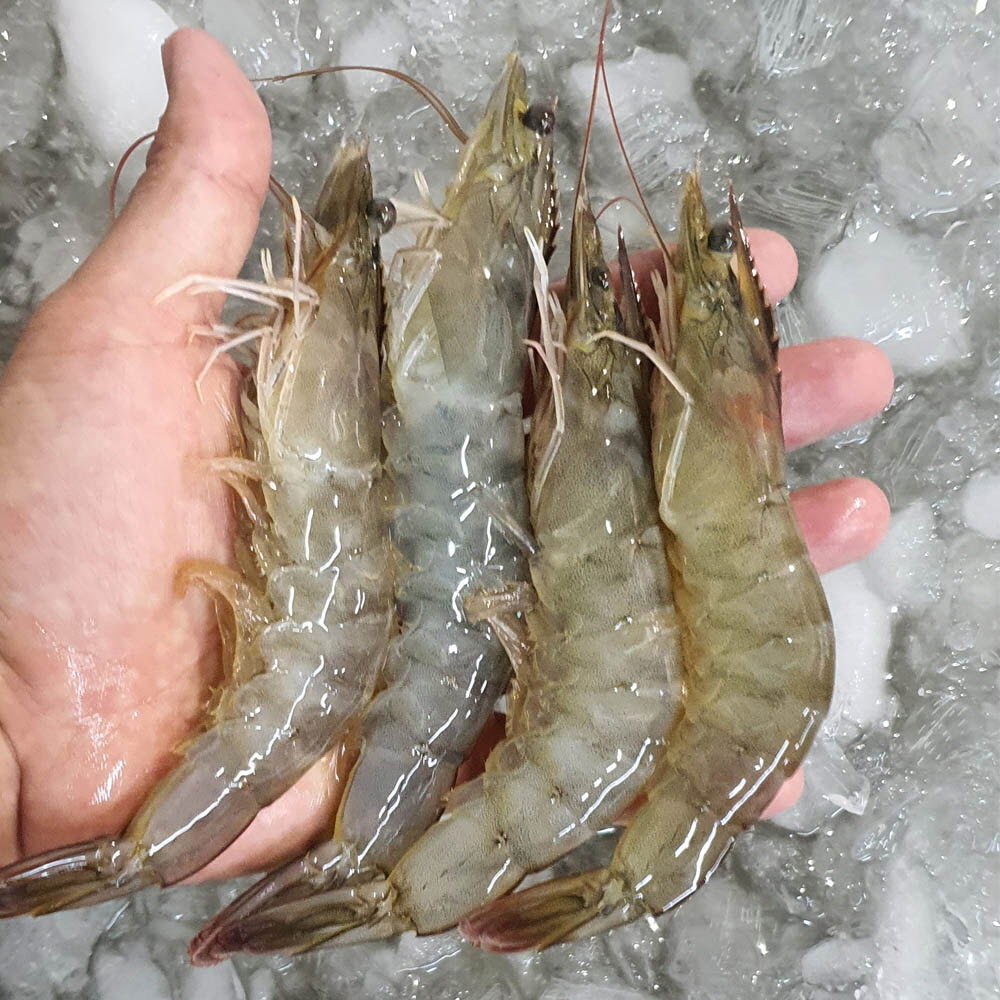 1628053055 thumbnail