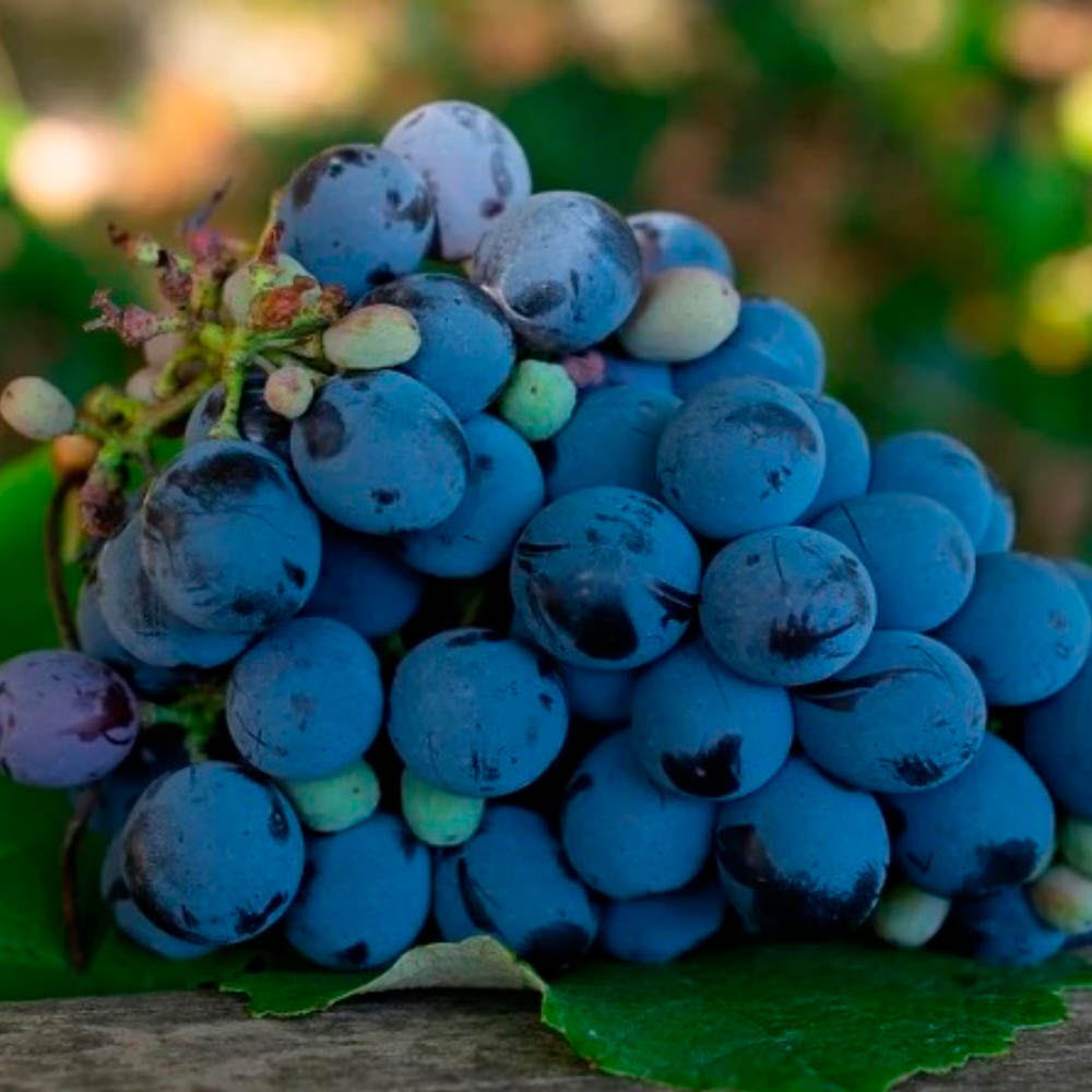 1628745509 thumbnail