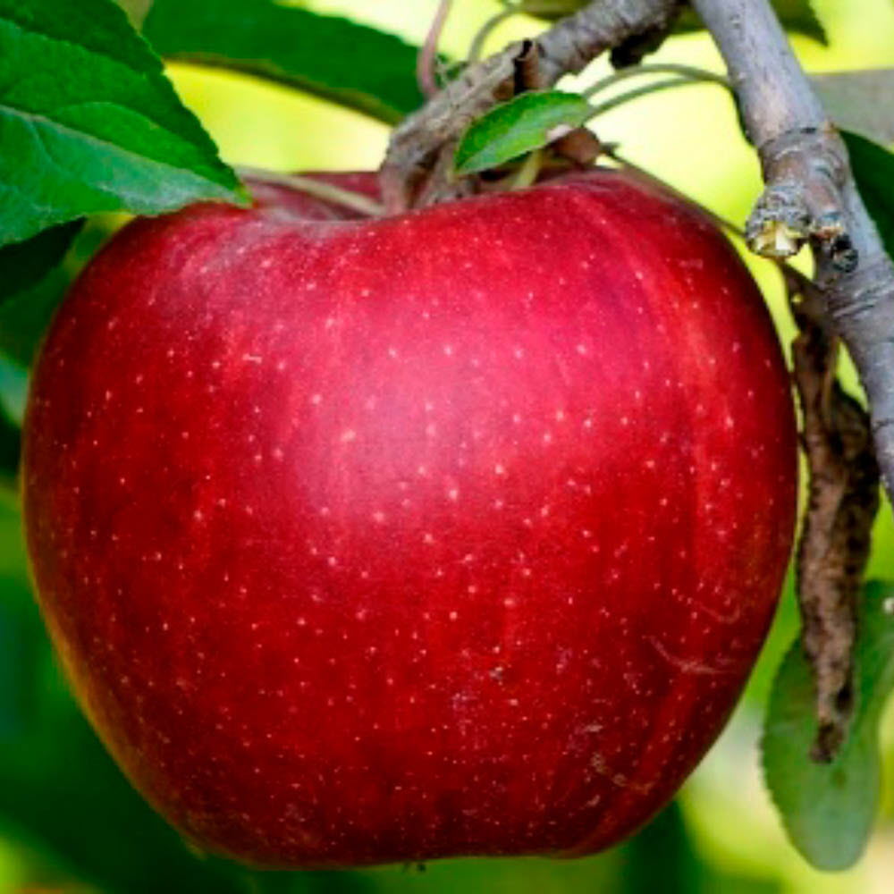 1629448822 thumbnail