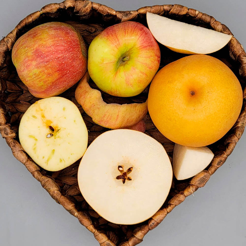 1629448829 thumbnail