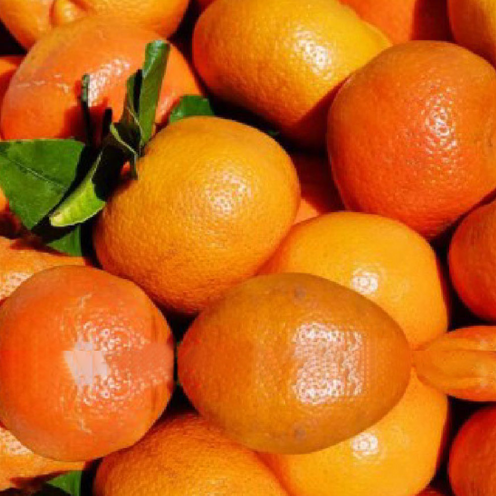 1629708027 thumbnail