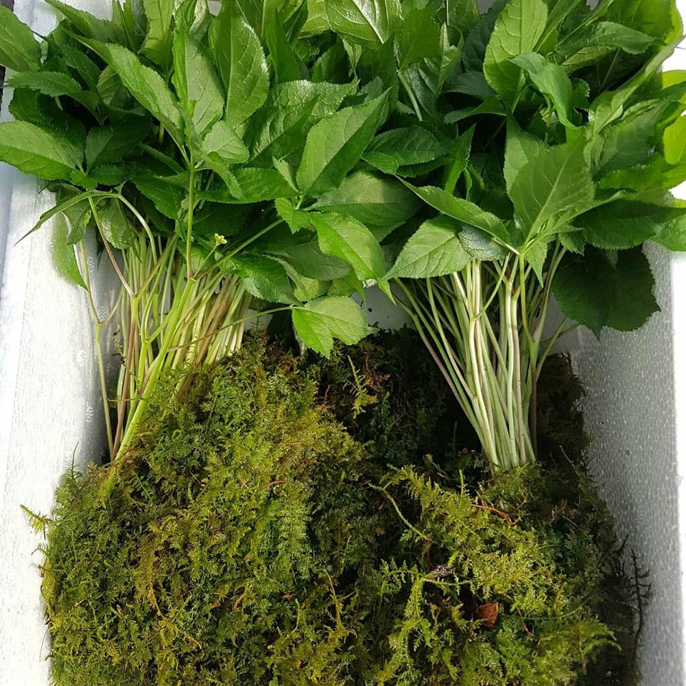 1629876694 thumbnail