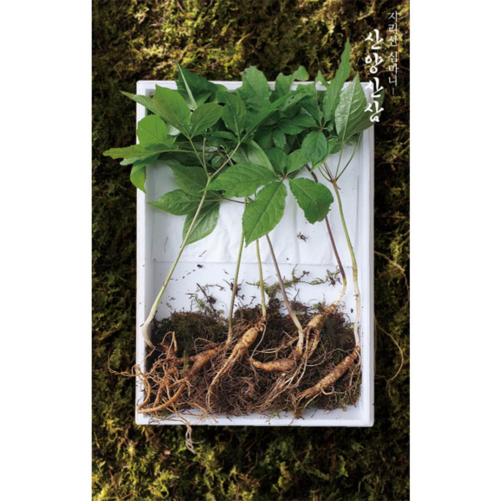 1630052666 thumbnail