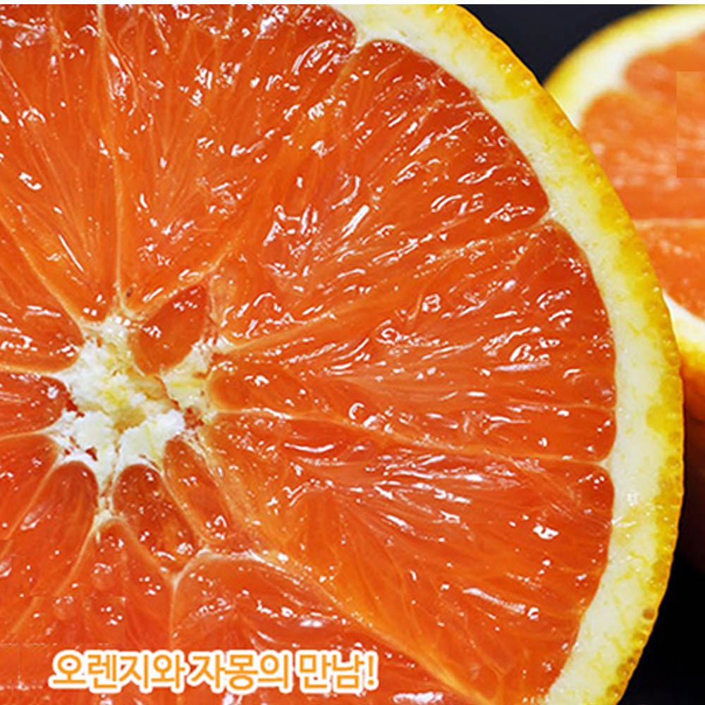 1630379186 thumbnail