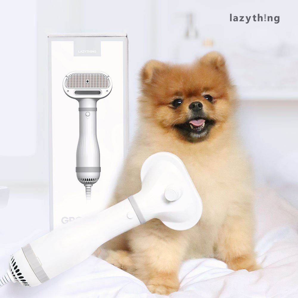 1630478736 thumbnail