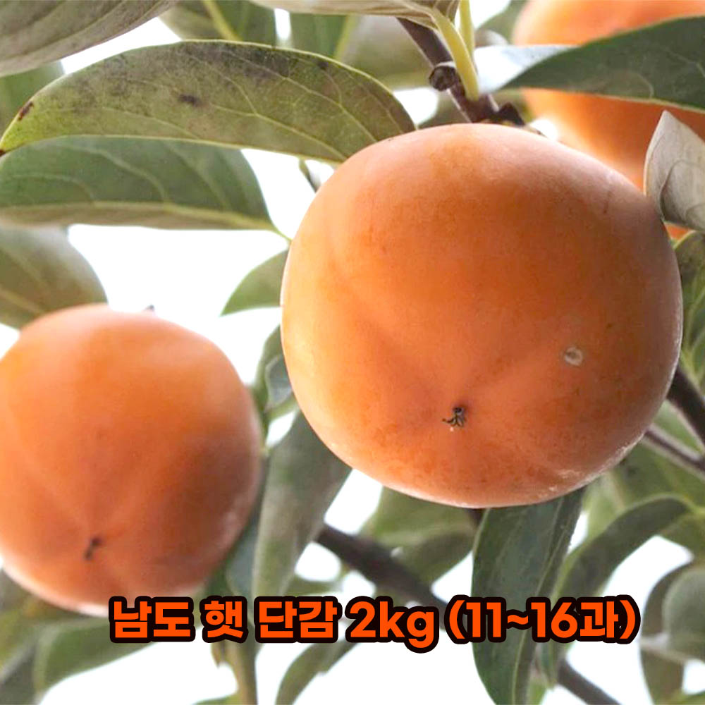 1632979820 thumbnail