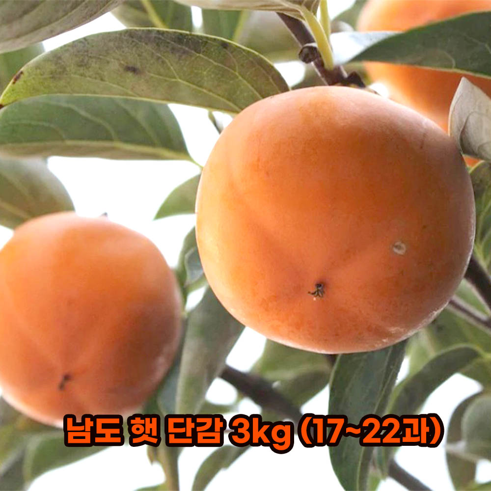 1632979821 thumbnail