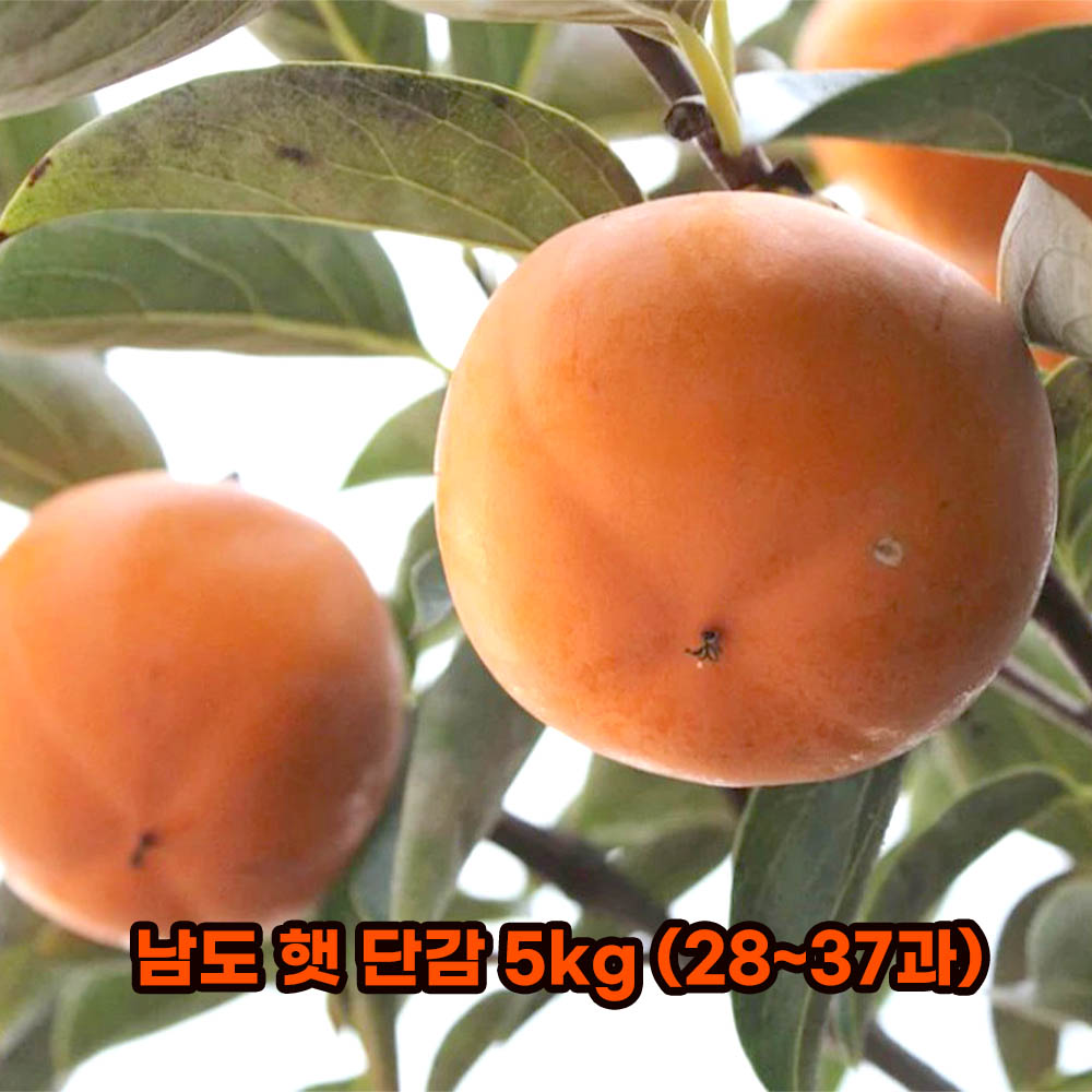 1632979822 thumbnail