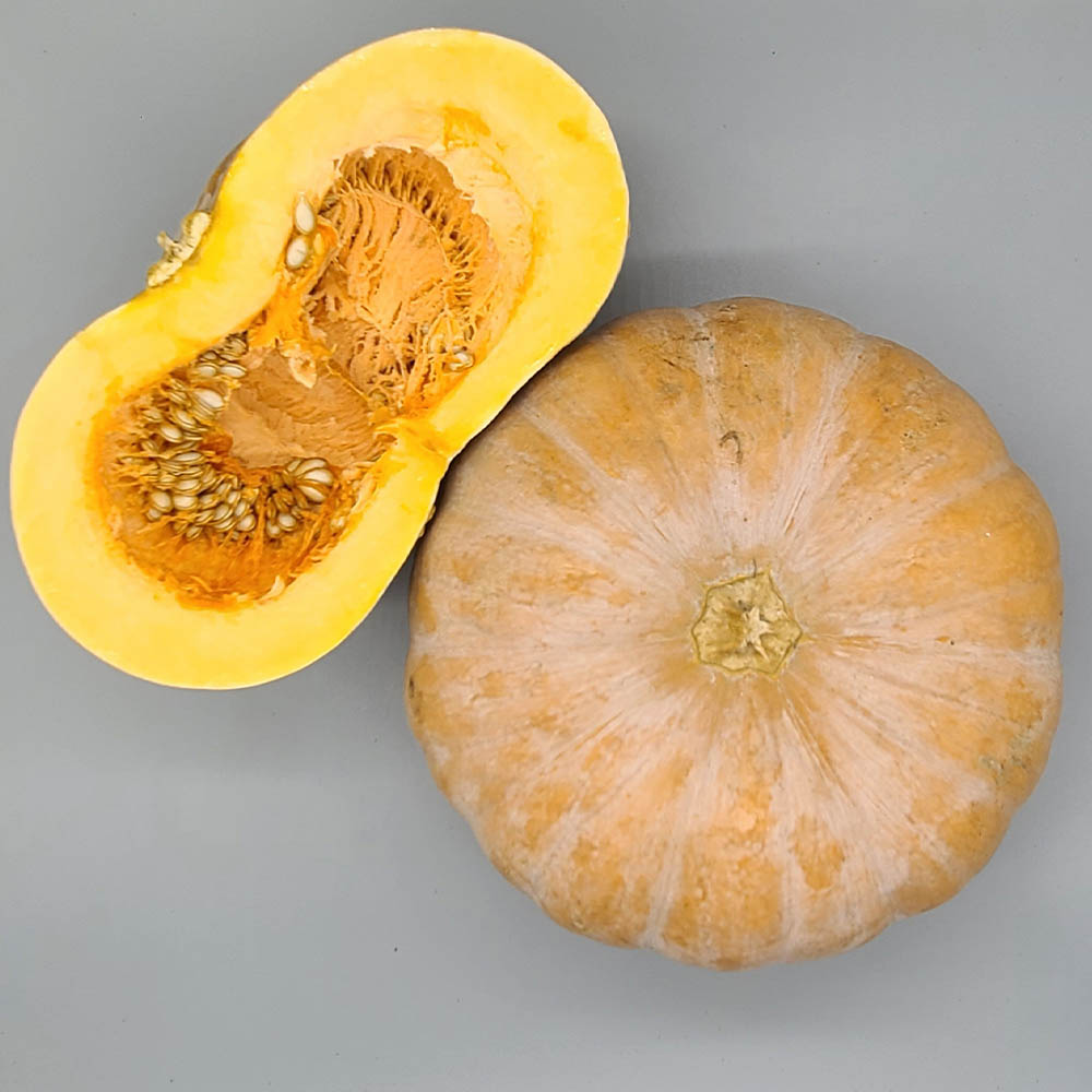 1634196397 thumbnail