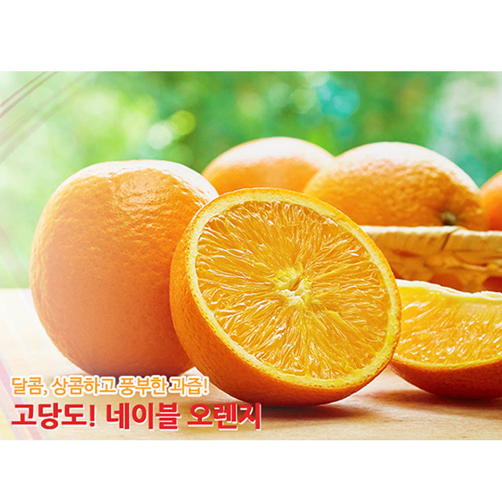 1634280381 thumbnail