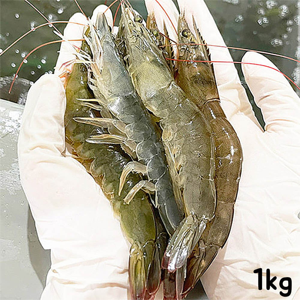 1634888405 thumbnail