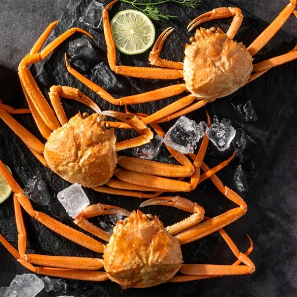 1634888416 thumbnail