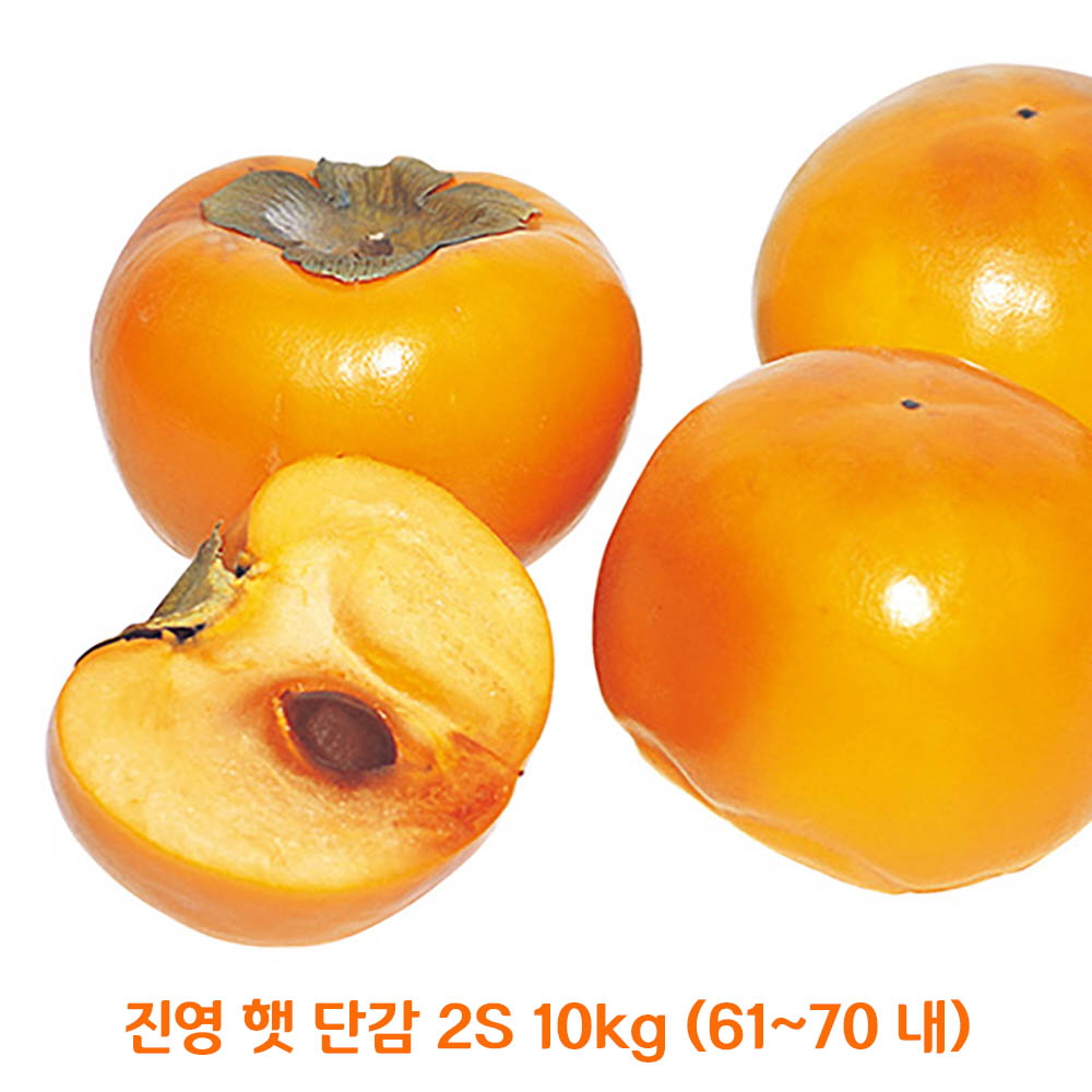 1635842067 thumbnail