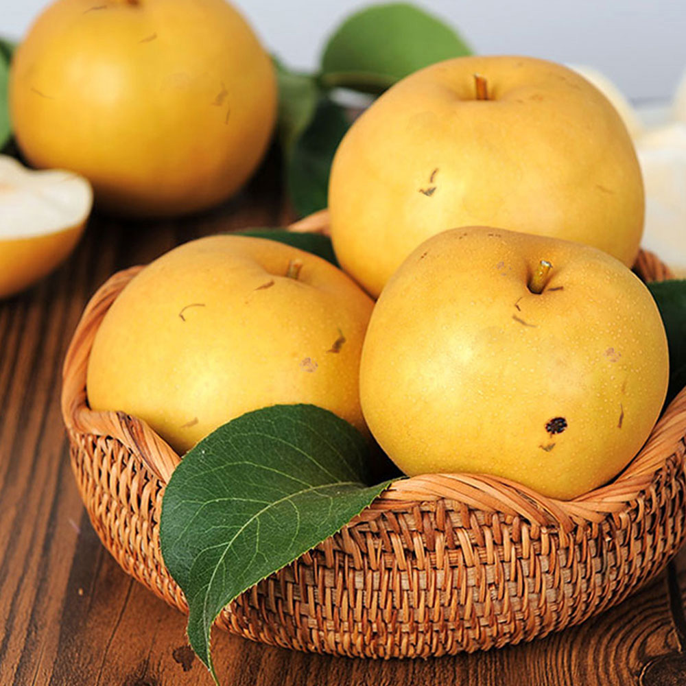 1636081872 thumbnail