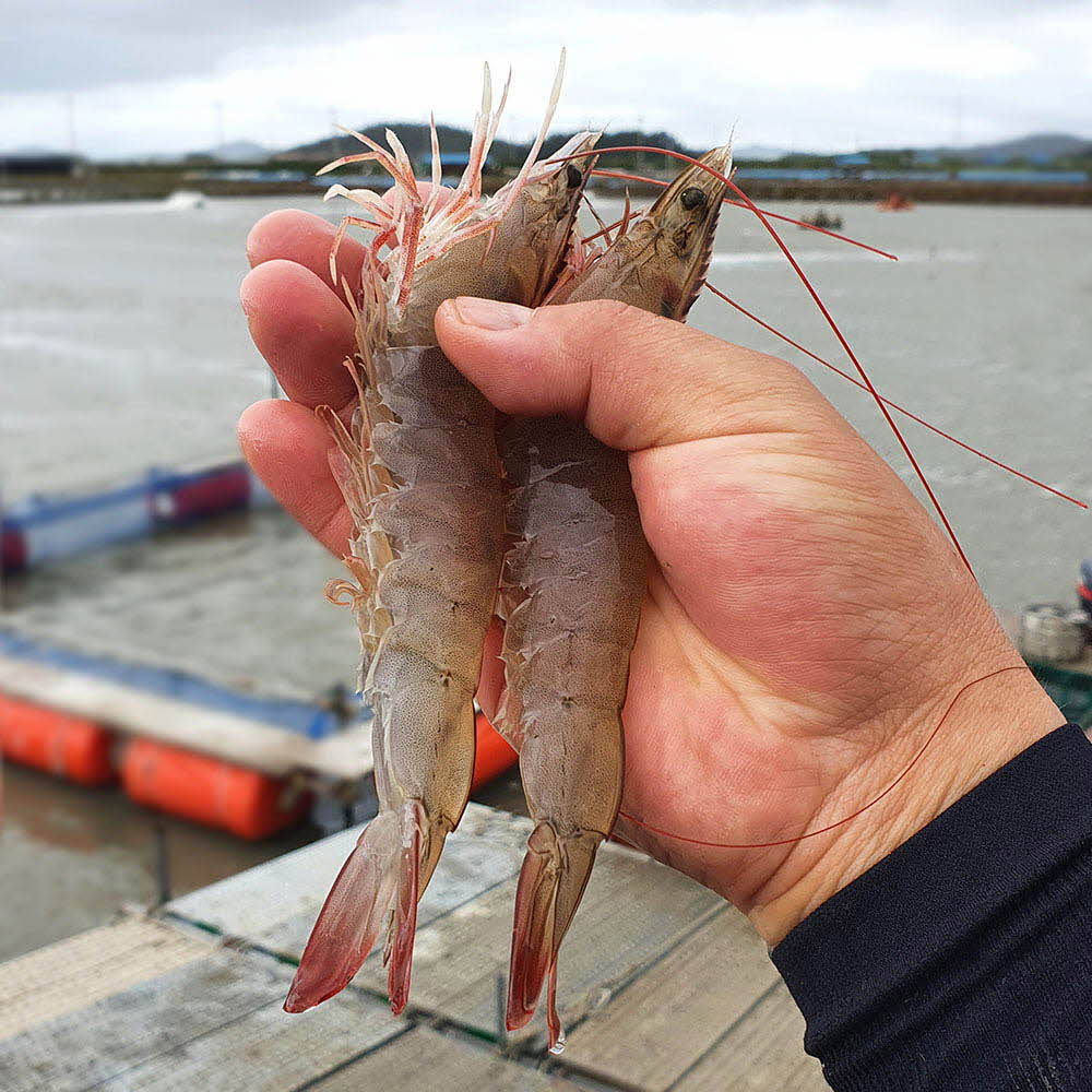 1636706458 thumbnail