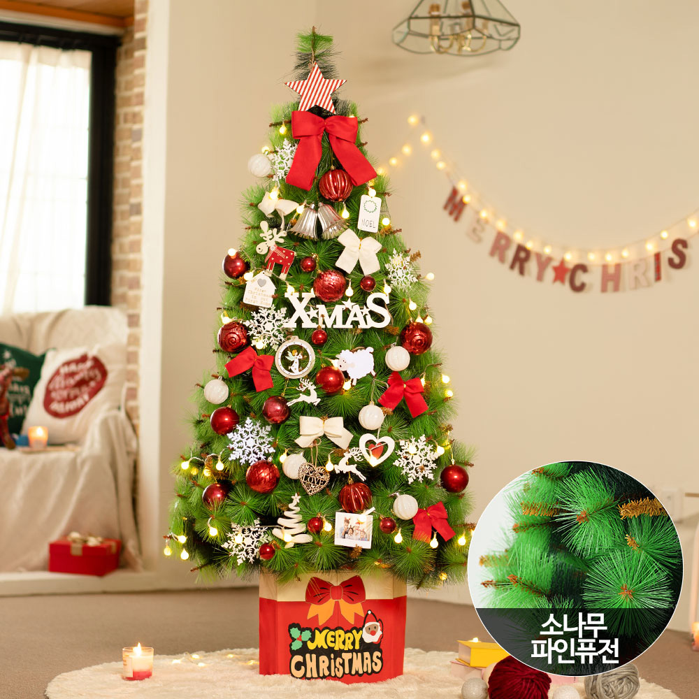 1636707061 thumbnail