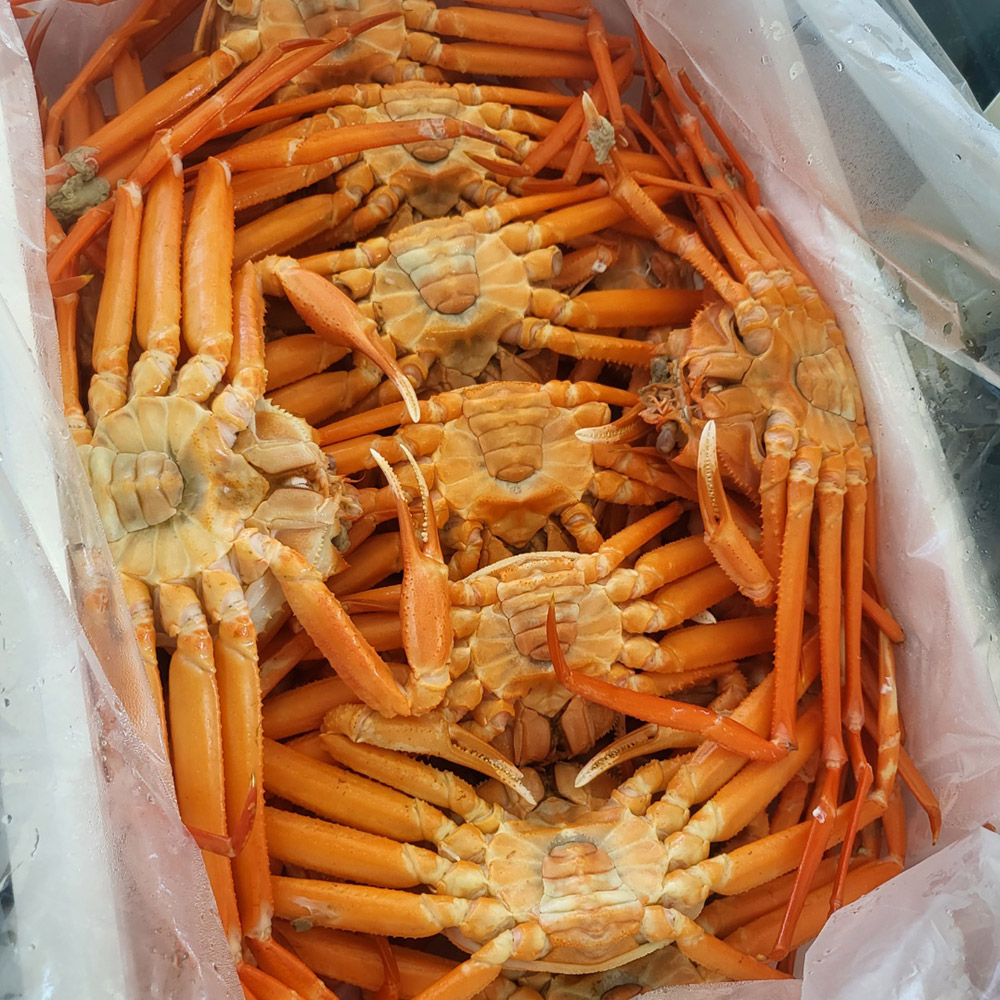 1637043487 thumbnail