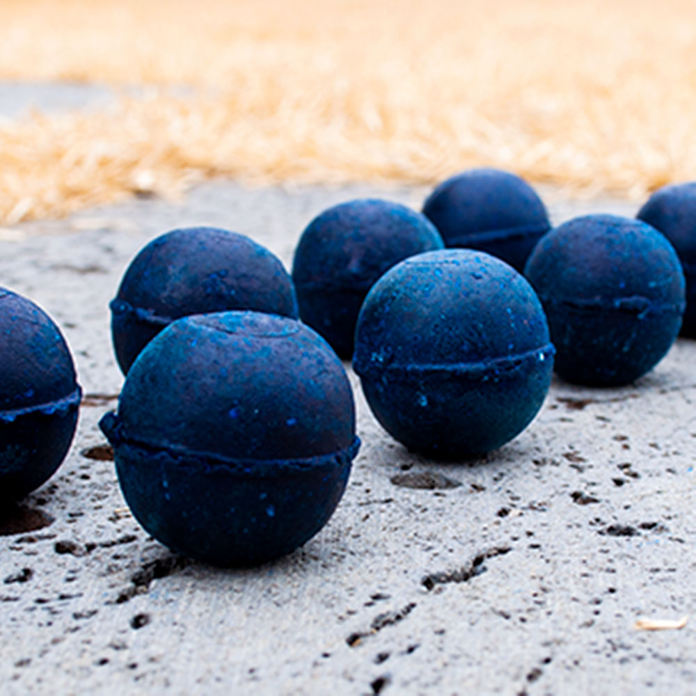 1637115554 thumbnail