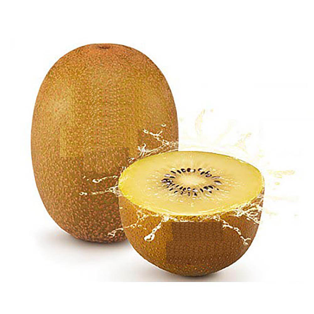 1637224755 thumbnail