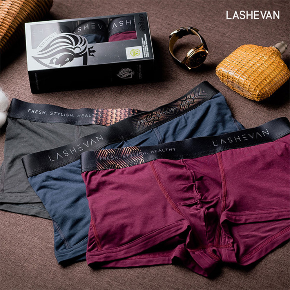 1637649169 thumbnail