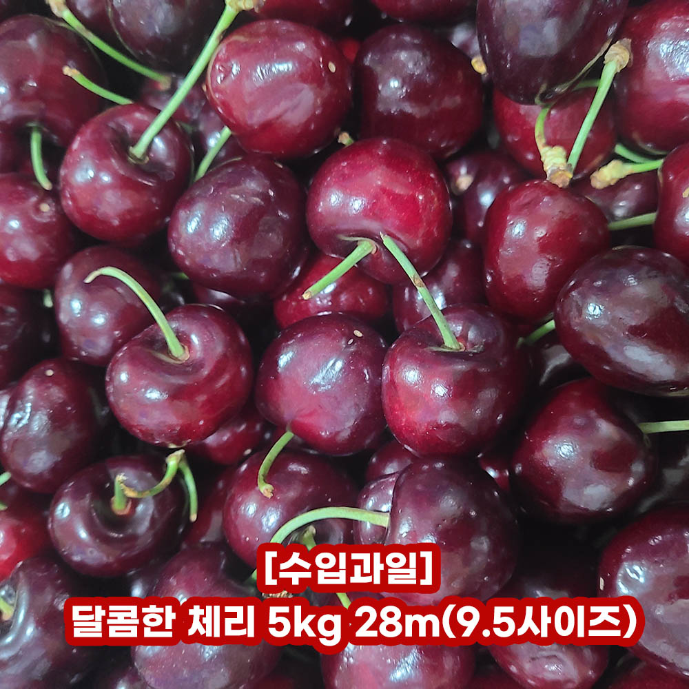 1637806697 thumbnail