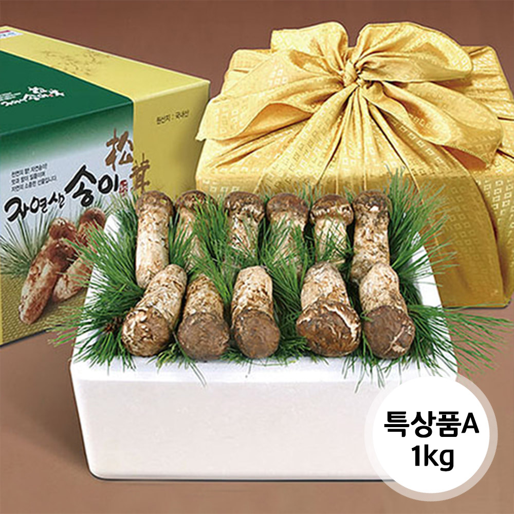 1638155903 thumbnail