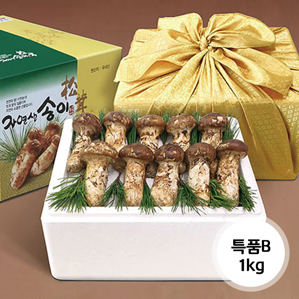 1638155905 thumbnail