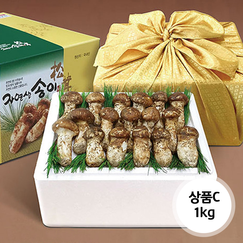 1638155907 thumbnail