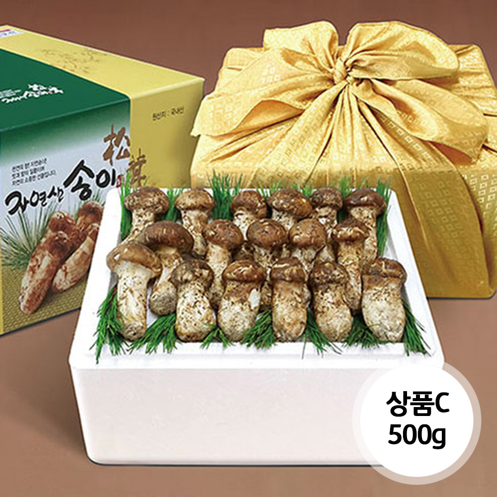 1638155908 thumbnail