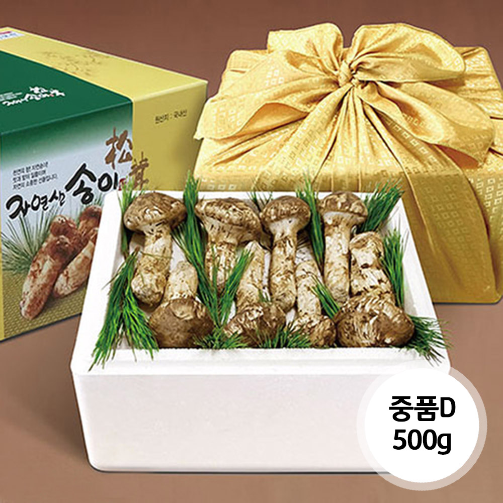 1638155910 thumbnail