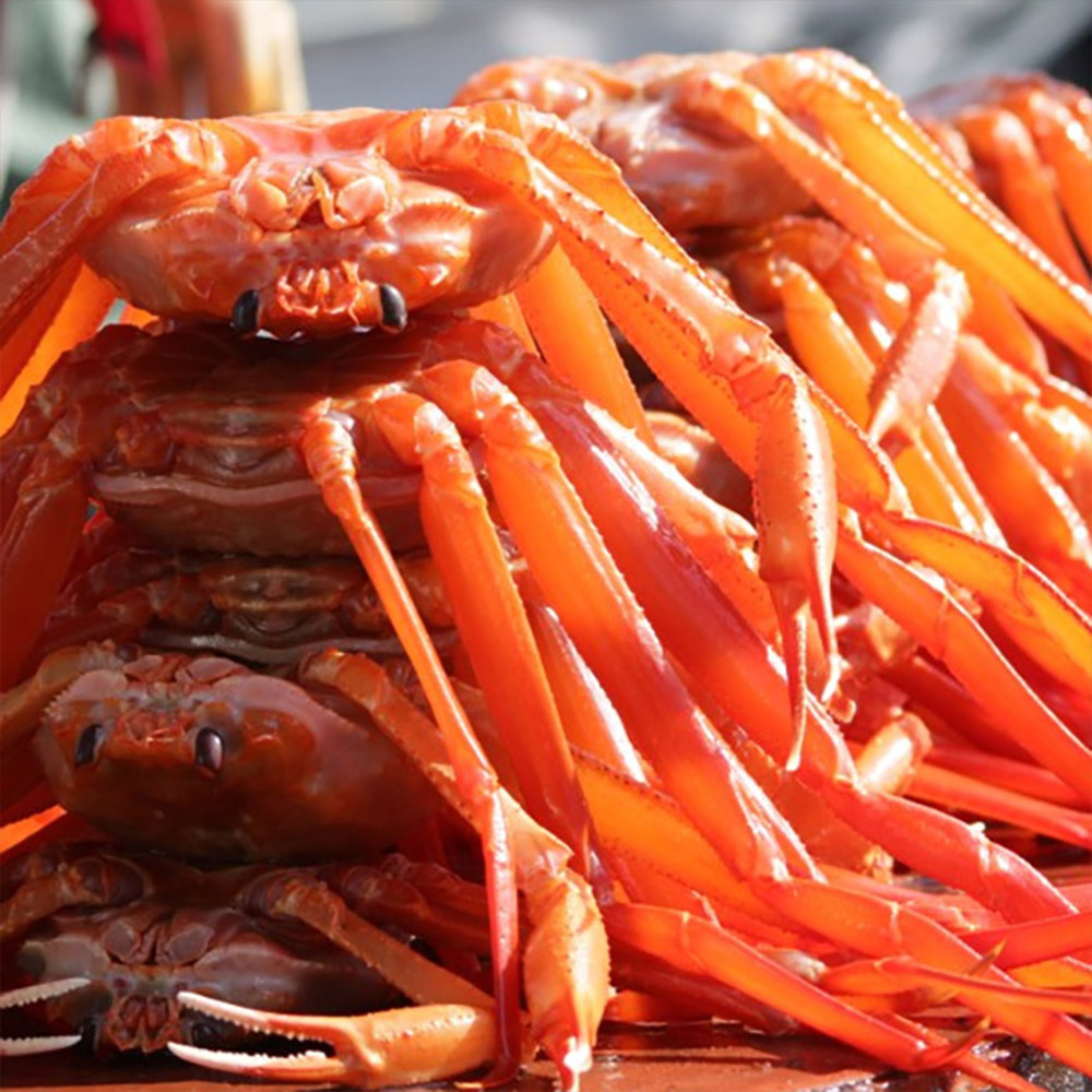 1638155912 thumbnail