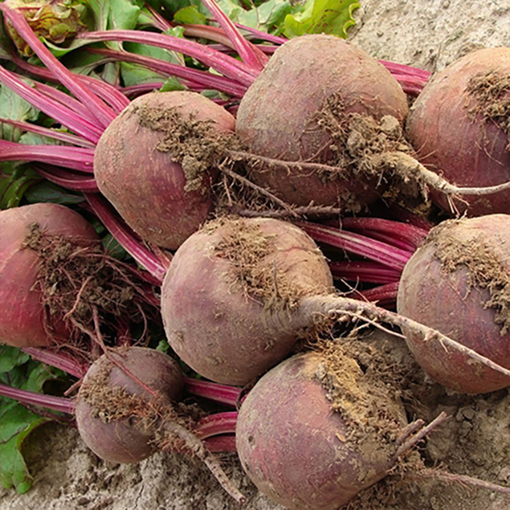 1638155913 thumbnail