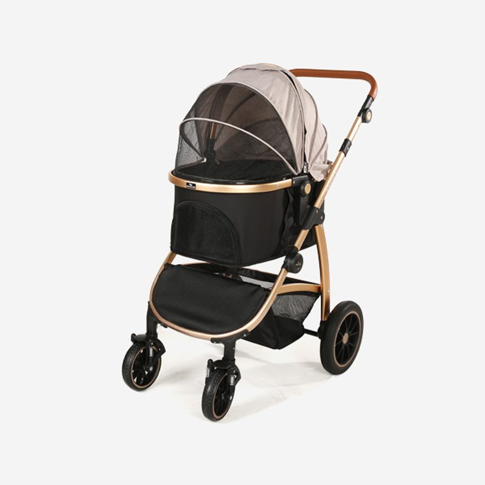 1638768626 thumbnail