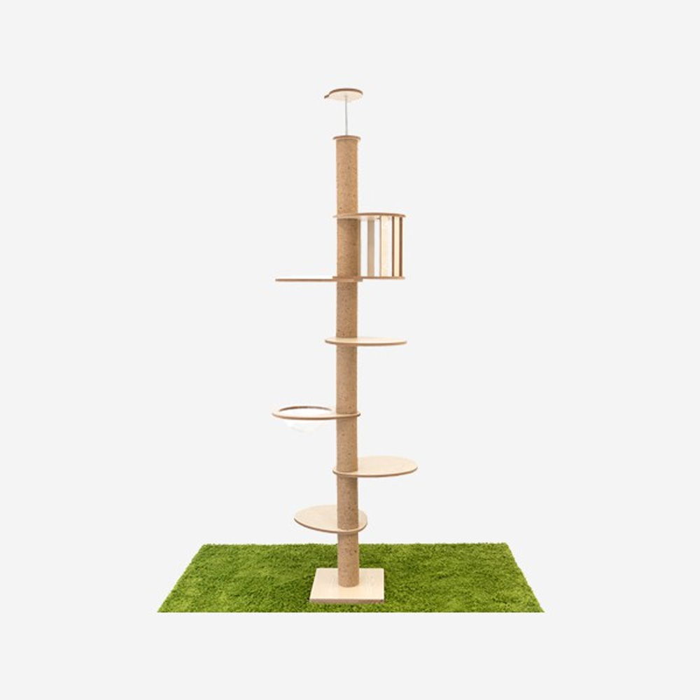 1638768635 thumbnail