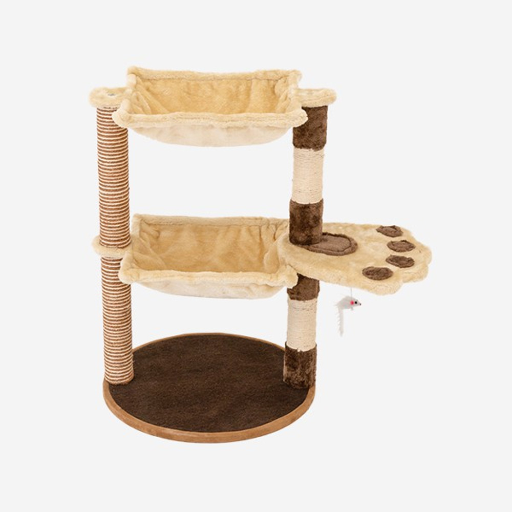 1638768636 thumbnail