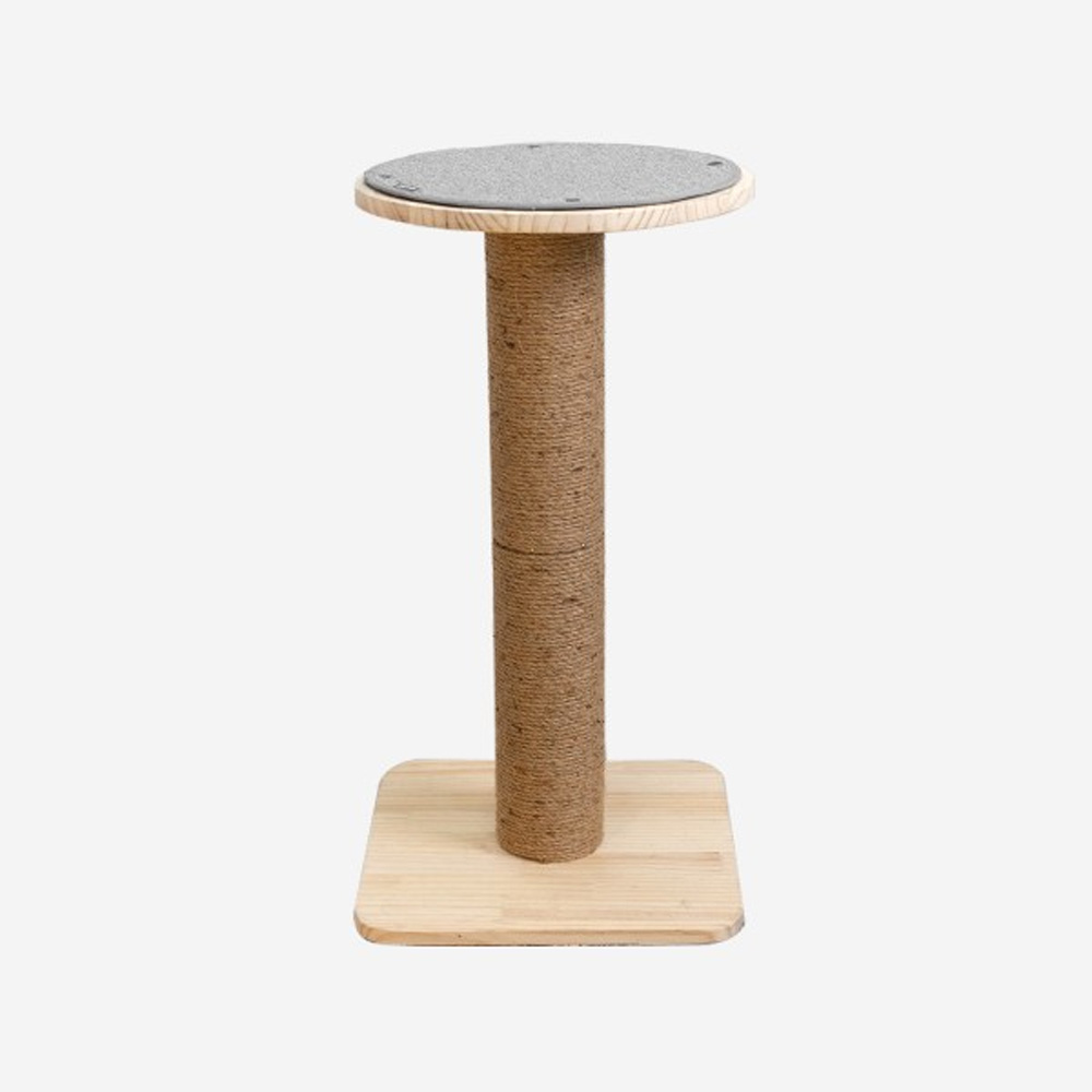 1638768637 thumbnail