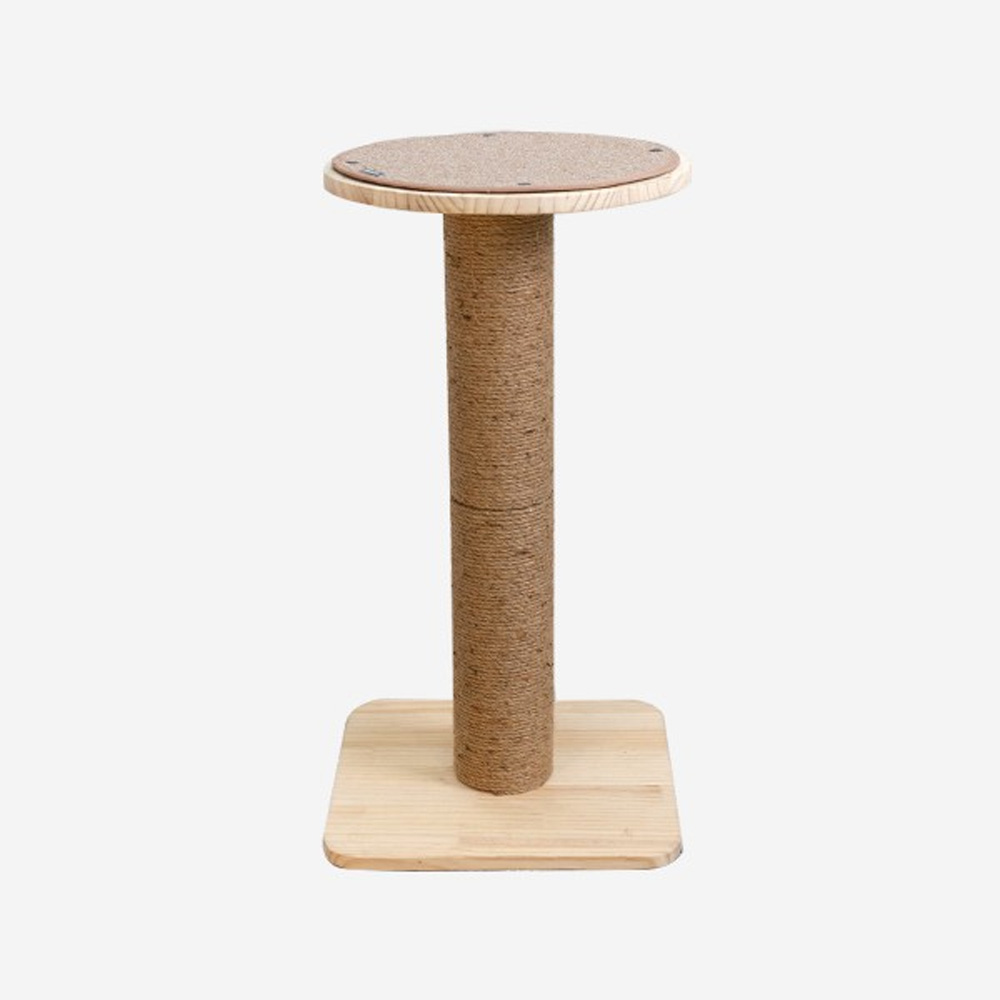 1638768638 thumbnail