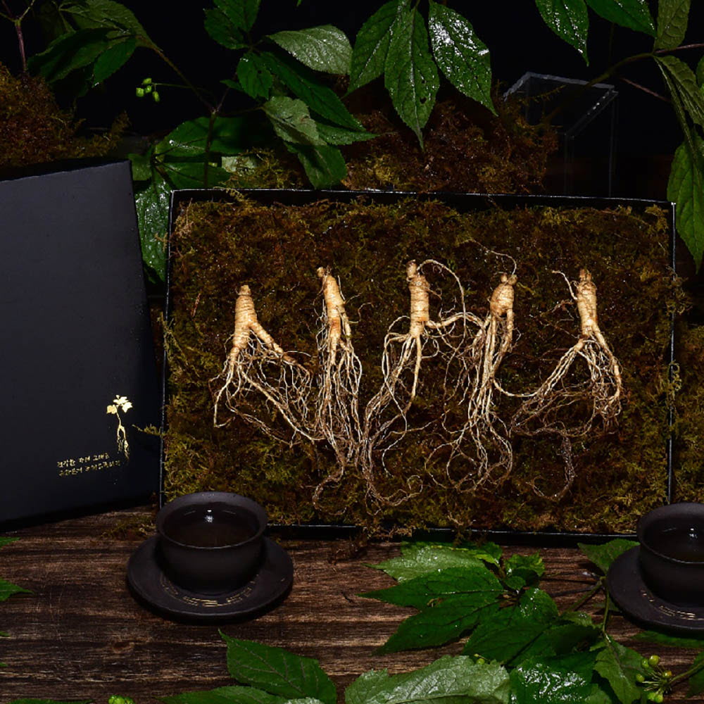 1639452646 thumbnail