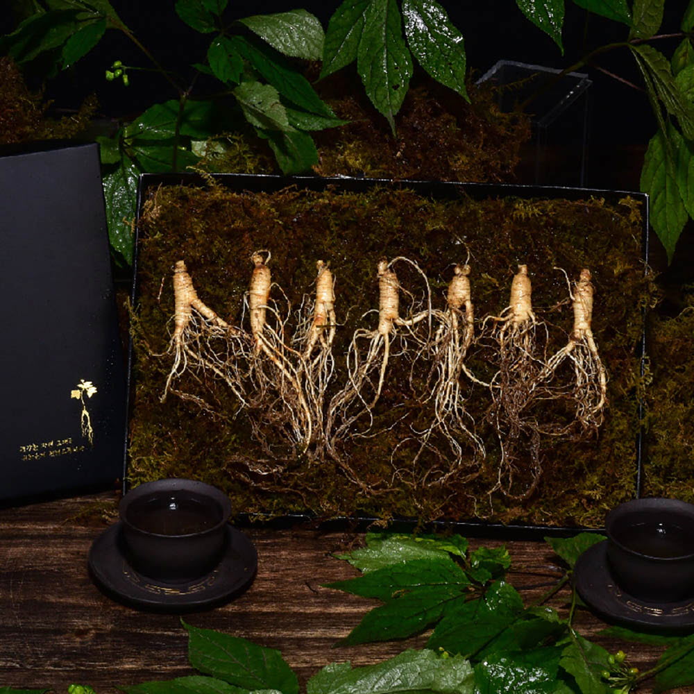 1639452647 thumbnail