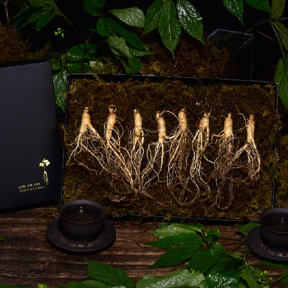 1639452648 thumbnail