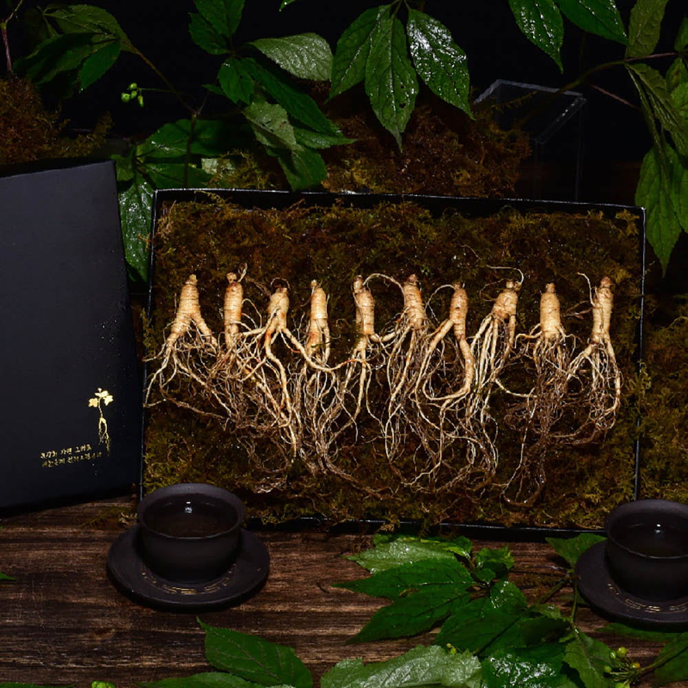 1639452649 thumbnail